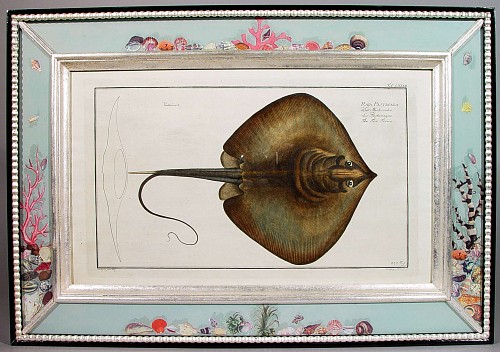 A Set of Eight Engravings of Fish by Dr. Marcus Bloch, 
Circa 1780. SOLD •