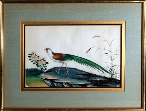 Inventory:  China Trade, China Trade Bird Painting on Pith Paper, Circa 1840-60, $750