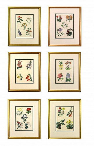 Set of Botanical Prints, W. Thompson, "The English Flower Garden", First Edition 1852-53; Set of Six Framed Prints., 1852-1853 $4,000