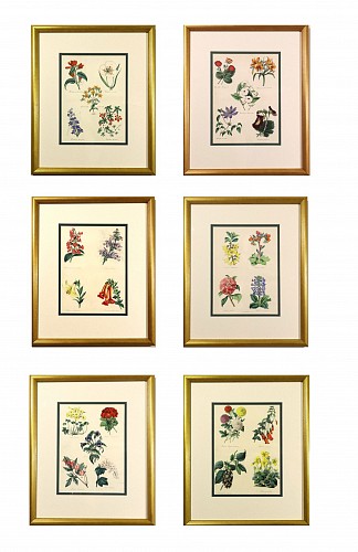 Search Results: Set of Botanical Prints, W. Thompson, "The English Flower Garden", First Edition 1852-53; Set of Six Framed Prints., 1852-1853 $4,000