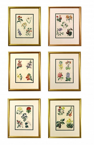Inventory: Set of Botanical Prints, W. Thompson, "The English Flower Garden", First Edition 1852-53; Set of Six Framed Prints., 1852-1853, $4,000