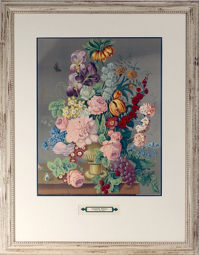 Joseph Nigg Botanical Print after the painting of the Austrian painter, Joseph Nigg, Ateliers lithographiques Mourlot, Paris, 1948 $1,250