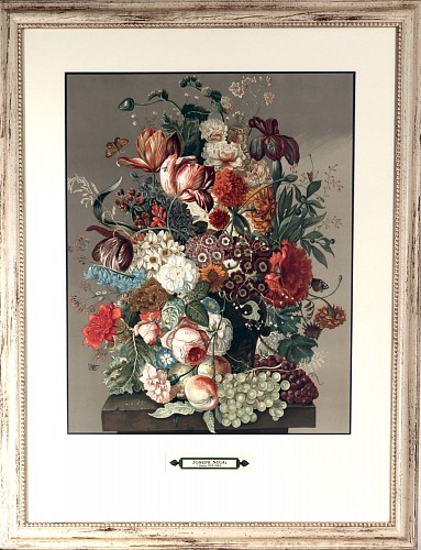 Inventory: Joseph Nigg, Botanical Large Print after Joseph Nigg, from the Ateliers lithographiques Mourlot, 1947-49, $1,250