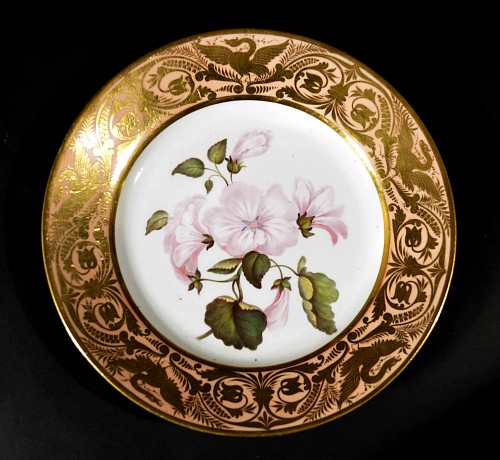 Search:  Derby Factory, Antique Derby Porcelain Salmon Ground Plate, An Annual Lavetera, by John Brewer, Circa 1815, $750