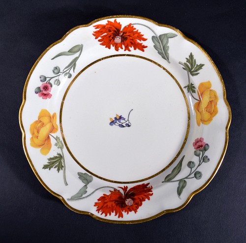 Flight, Barr & Barr Factory Flight & Barr Worcester Porcelain Botanical Plate, 1792-1804 $650