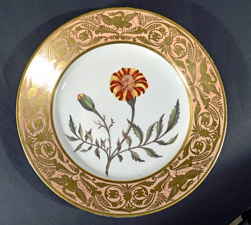 Search:  Derby Factory, Antique Derby Porcelain Salmon Plate, French Marigold, John Brewer, Circa 1815, $750