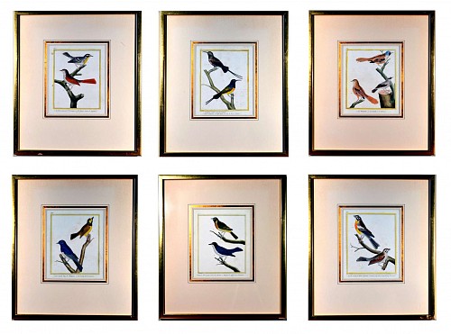 Inventory:  FranÃ§ois Nicolas Martinet, Francois Martinet Set of six Large Framed Bird Engravings, Circa 1770, $4,000