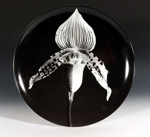 Search:  Robert Mapplethorpe, Robert Mapplethorpe Botanical Porcelain Plate, Orchid, 1987, 1980s, $1,250