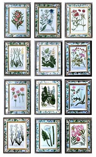 Inventory:  Johann Wilhelm Weinmann, Johann Weinmann Botanical Framed Engravings- A Set of Twelve (12), 1740, $25,000