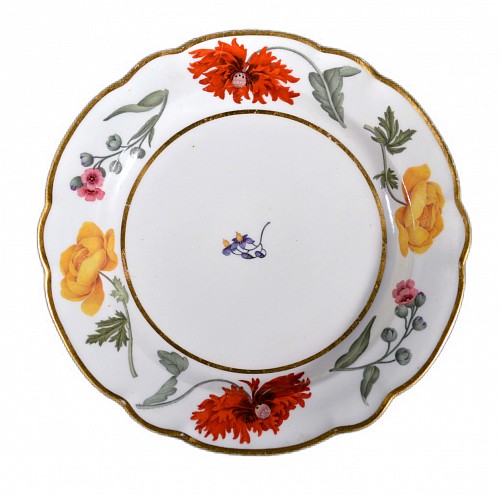 Inventory:  Flight, Barr & Barr Factory, Flight & Barr Worcester Porcelain Botanical Plate, 1792-1804, $650