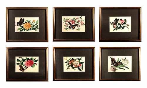 Inventory:  China Trade, China Trade Pith Paper Paintings of Fruit and Butterflies, A Set of Six, 1850, SOLD &bull;