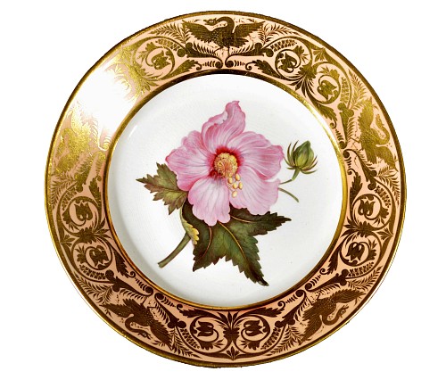 Derby Factory Antique Derby Porcelain Salmon Ground Plate, A Marsh Hibiscus, by John Brewer after William Curtis, Circa 1815 $750