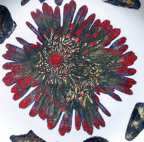 Piero Fornasetti Vintage Piero Fornasetti Conchiglie Pattern Plate decorated with Sea Anemones, Urchins & Shells, Circa 1960-70's $650