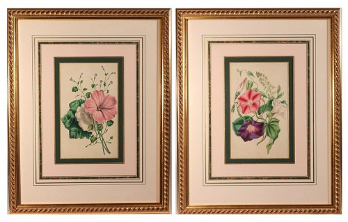 Inventory:  Print, Lessons from the Vegetable World: Robert Mackenzie Stark Botanical Prints
1858, 1858, $1,250