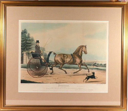 Print Large Aquatint of The Celebrated Trotting Stallion Artaxerxes After Francis Calcraft Turner, 1838 $1,850