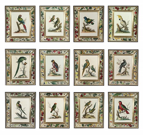Inventory:  George Edwards, !8th-century Engraved Prints of Exotic Birds by George Edwards with Decoupage Frames (12), 1745, SOLD &bull;