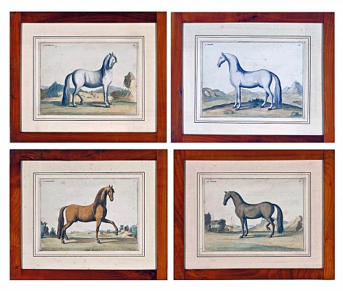 Inventory:  Baron D'Eisenberg, 18th-century Prints of Horses by Baron D'Eisenberg, Published in 1747, SOLD &bull;