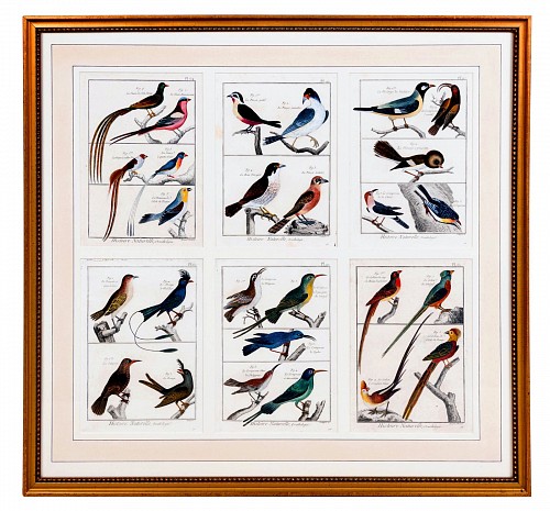 Inventory:  Georges-Louis Leclerc, Large Picture containing Six Different Engravings of Grouping of Birds by Georges-Louis Leclerc, 1770-83, SOLD &bull;
