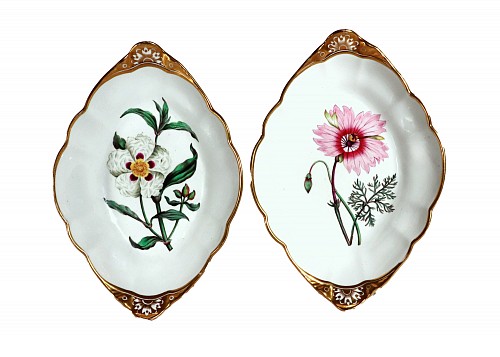 Inventory:  Spode Factory, Spode Porcelain Botanical Specimen Dishes, After William Curtis (A Pair), 1810-20, $3,000