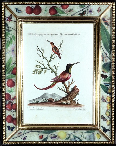 George Edwards 18th-century Johann Seligmann Bird Print of a Humming Bird, 1770s SOLD &bull;