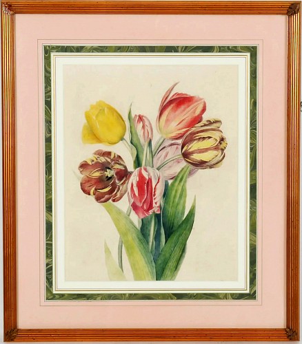Inventory:  Watercolour Painting, Botanical Splendor: A British Watercolor of Tulips, 19th Century, $1,800